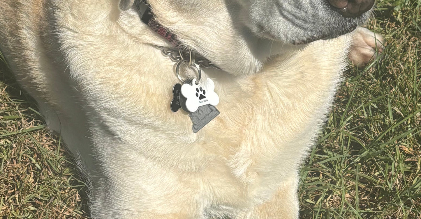 Dog Tag