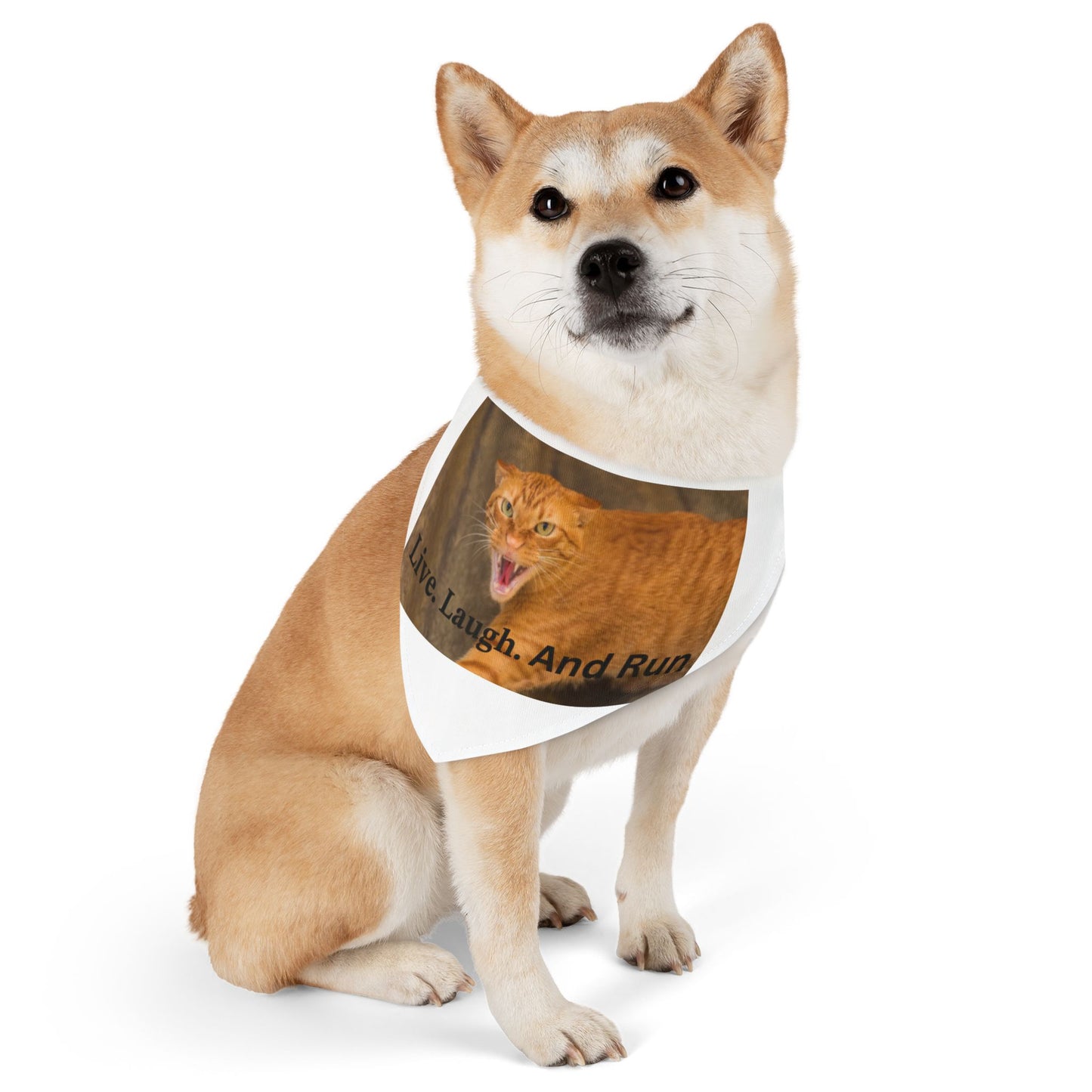 Pet Bandana Collar - 'Live, Laugh, And Run'