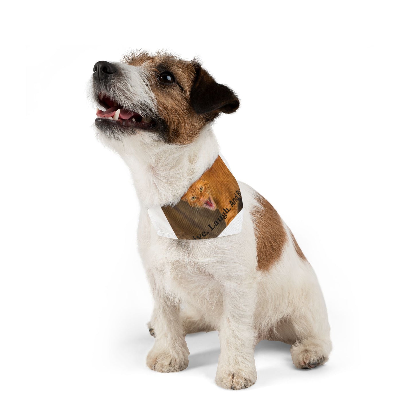 Pet Bandana Collar - 'Live, Laugh, And Run'